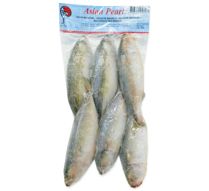 Indian mackerel 4/6 10x1kg | 印度鲭鱼 4/6 10x1kg