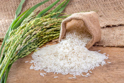 Rice, Flour, Starch