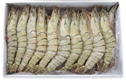 Black Tiger Shrimp 13/15 10x1KG HOSO 30%